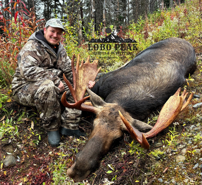 lobo peak outfitters blake moose 2025