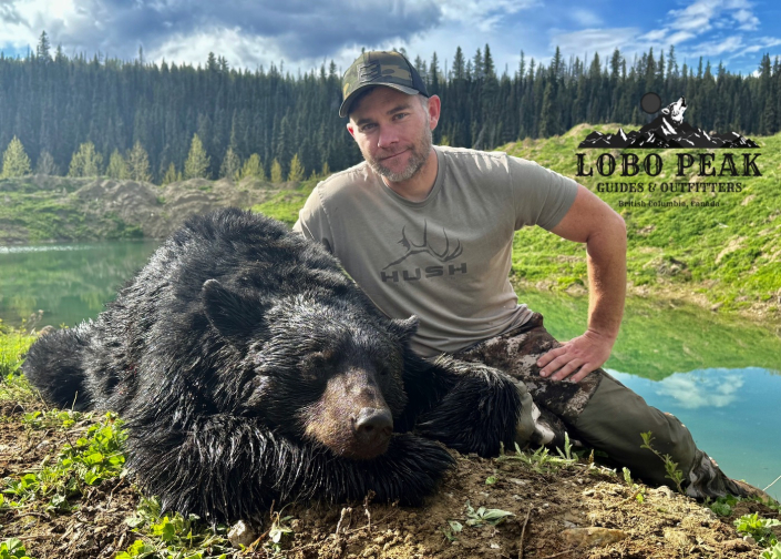 lobo peak outfitters brandon bear 2025
