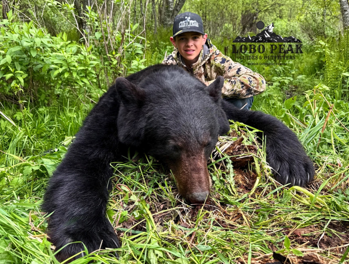 lobo peak outfitters – chase black bear 2025