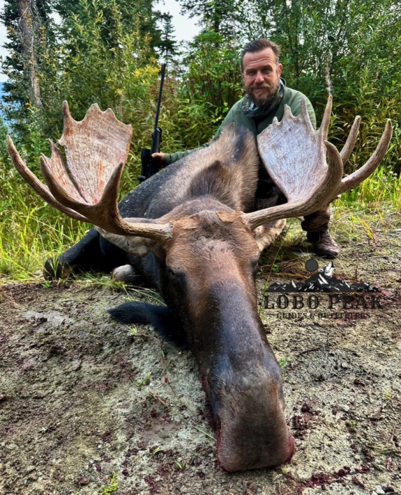 lobo peak outfitters pablo moose 2025
