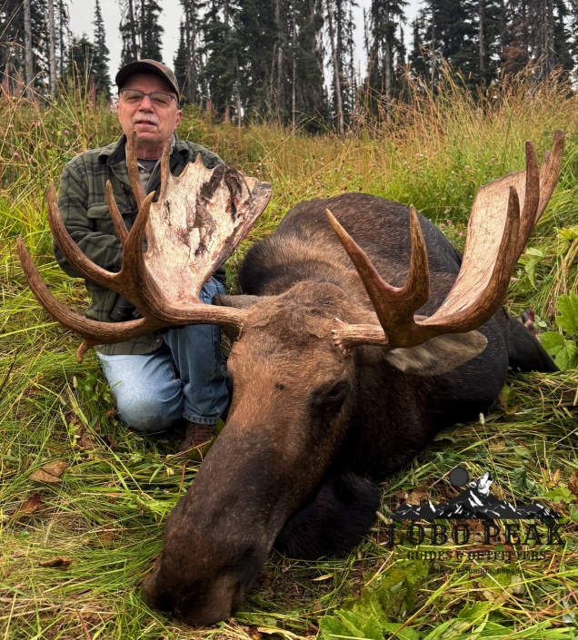 lobo peak outfitters – ron moose 2 2025