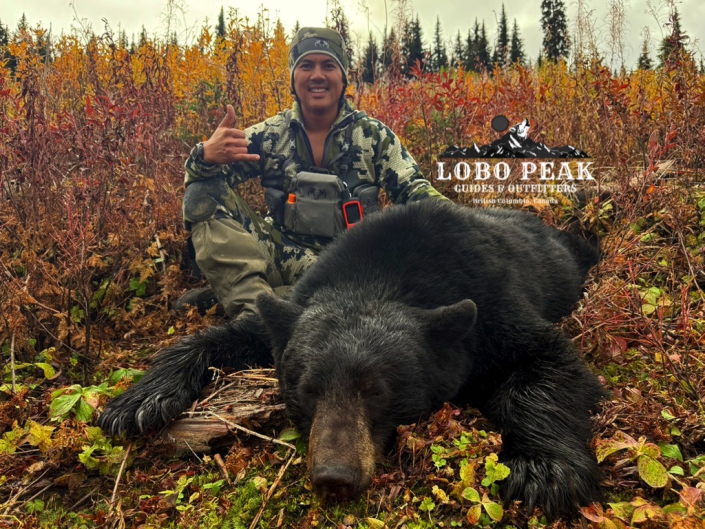 lobo peak outfitters sheldon bear 2025