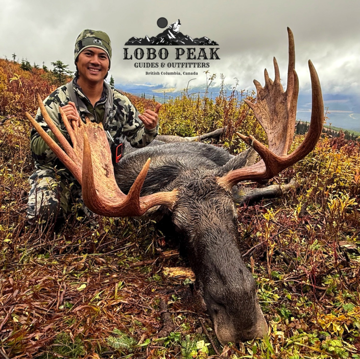 lobo peak outfitters sheldon moose 2